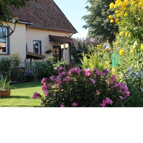 Luxurious Apartment in Kalkhorst with garden and barbecue