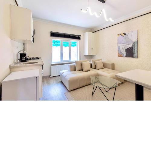 Luxurious apartment in taksim
