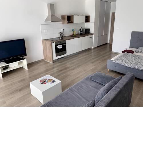 Luxurious apartment "Roma" in the centre
