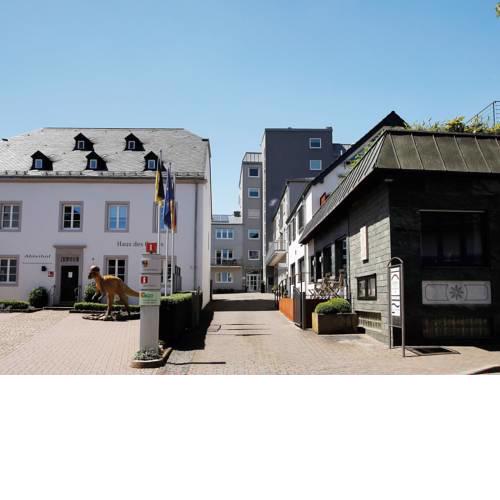 Luxurious Holiday Home in Bollendorf With Sauna