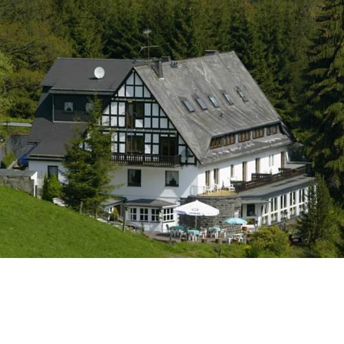 Luxurious Holiday Home near the Ski Area in Winterberg