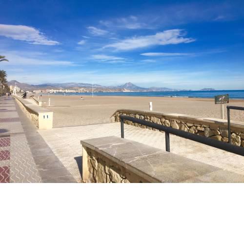 Luxury 12th Floor Beachfront