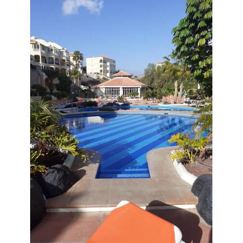 Luxury 2 bed , roof garden, 3 pools, and wifi