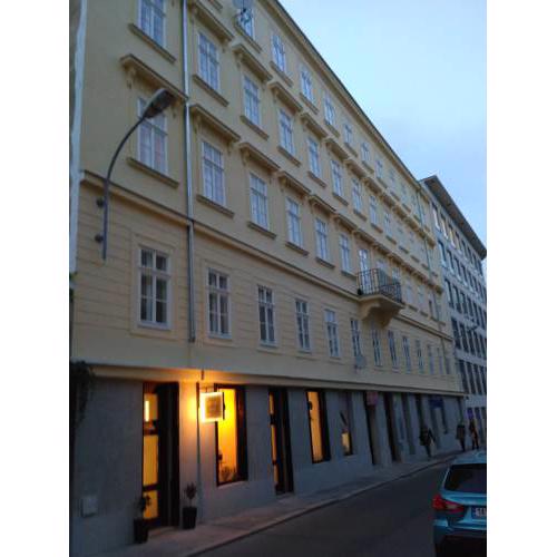 Luxury Apartment Novobranska