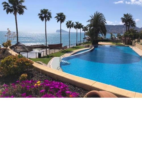 Luxury Apartment on the Beach