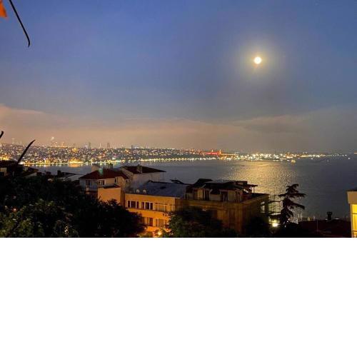 Luxury apartment with Bosphorus view
