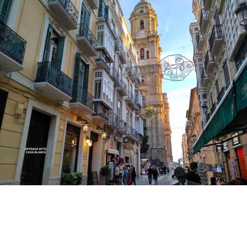Luxury Catedral