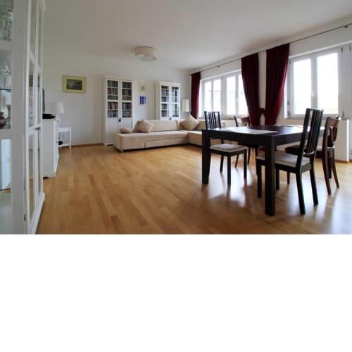 Luxury city apartment - view of river and castle