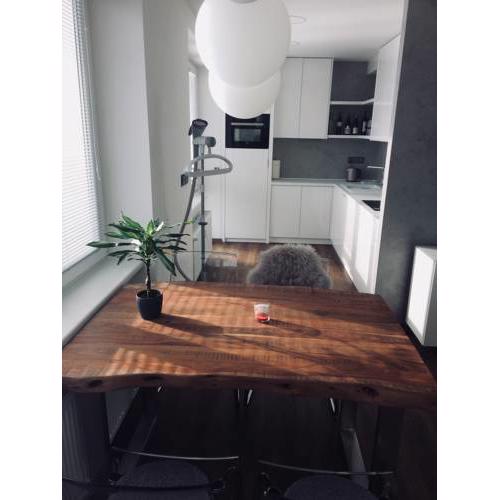 Luxury Flat in Brno