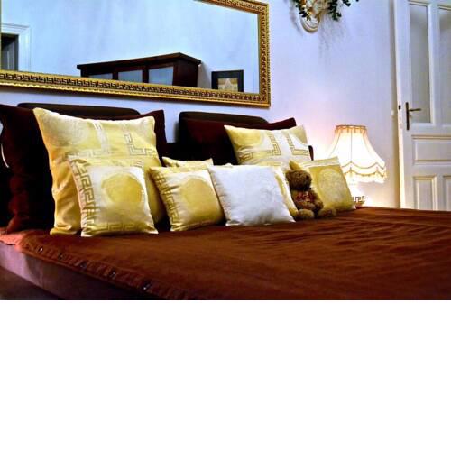 Luxury Hollywood Style Penthouse / Riverview near Dancing House