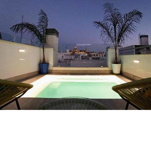 Luxury Penthouse with private pool and garage.
