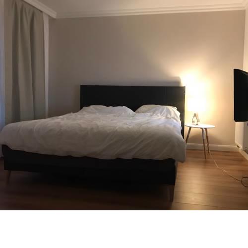 Luxury Rooms - Directly Hanover Fair