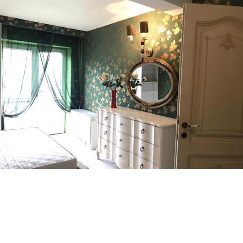 Luxury Spacious Apartment in Mariánské Lázně/Marienbad