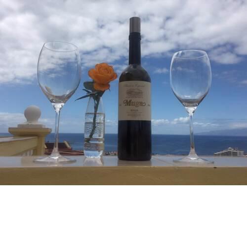 Magnific Las Americas view apartment