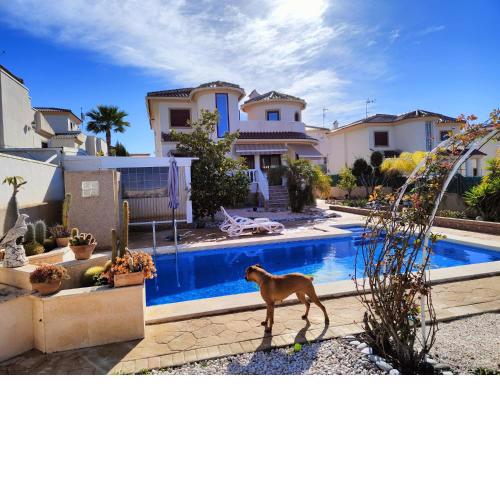 Magnífica villa con piscina La Marina-Oasis a 3km de la playa