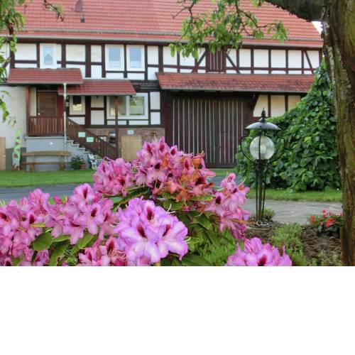 Magnificent holiday home in Obergude Hesse with private terrace