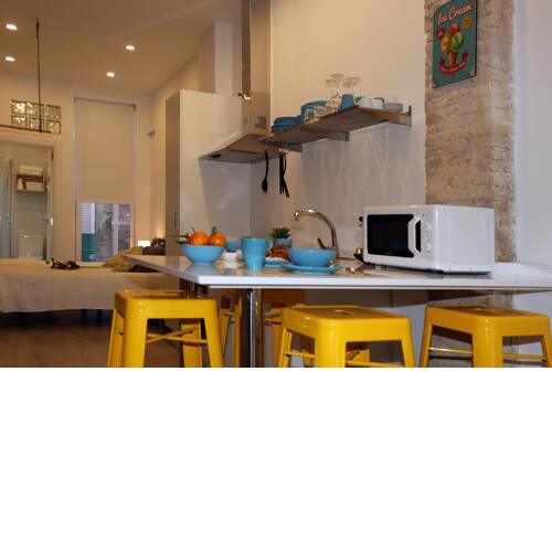 Magnificent loft with SWIMMING POOL - CENTER