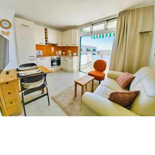 Magnifique appartement au pied des dunes!