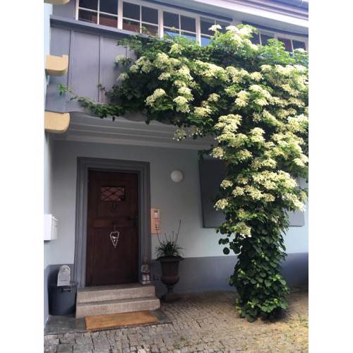 Maison Bleue Landhaus