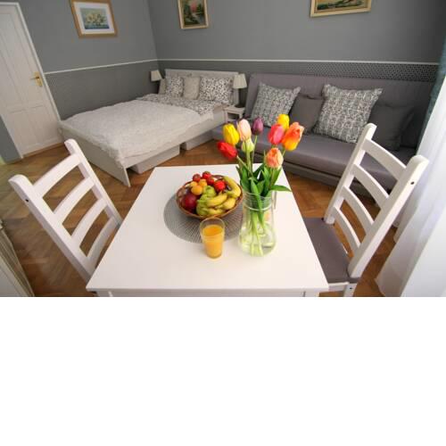 Mánesova apartment