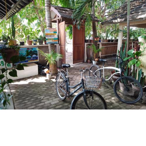 Mangga homestay Gili air