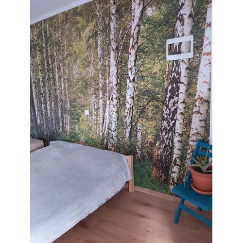 Mango Apartment