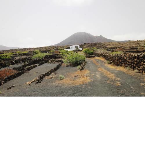 Manoa Eco House