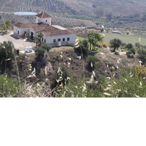 Mansion with 7 bedrooms and 6 bathrooms in rural holiday park