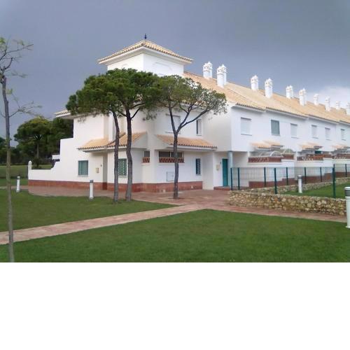 Mar de arena, mar de pinos