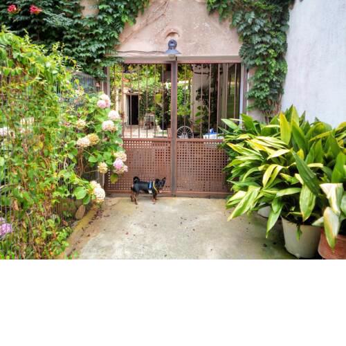 Marakasa B&B