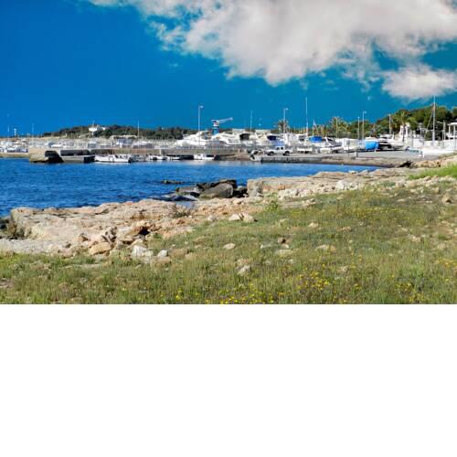 Mare de Deu del Carme House