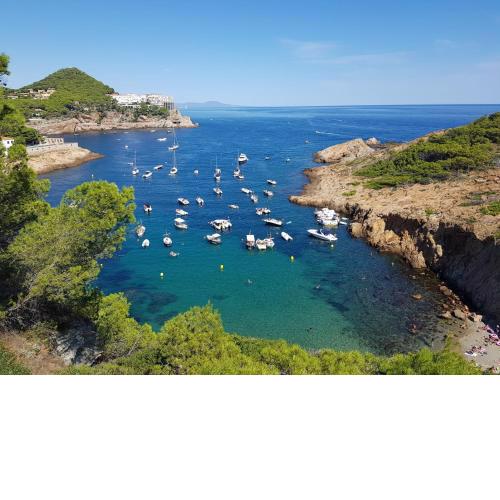 Mareva