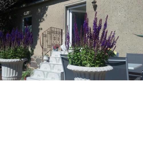 Mariflor, nur 350 m zum Strand
