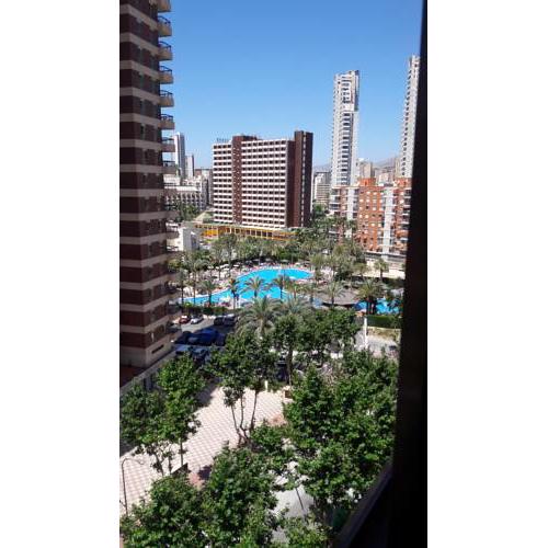 MARISCAL (BENIDORM)