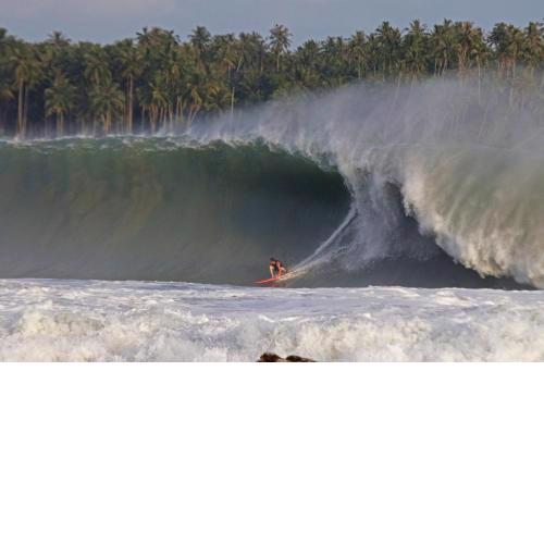 Marlynto Nias Losmen