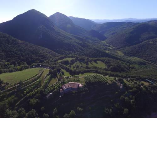 Mas Pineda