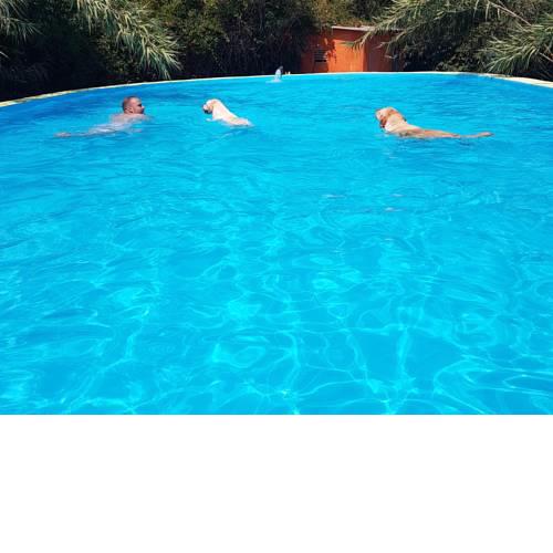 Mas Torrencito pet friendly