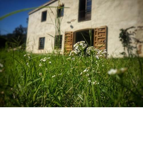 Masia Mediterranian Country House Ca l'Isidre Torrent