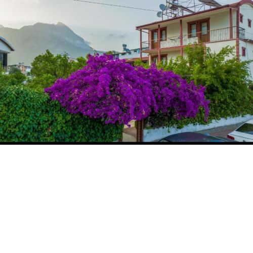Mavi deniz villa kemer