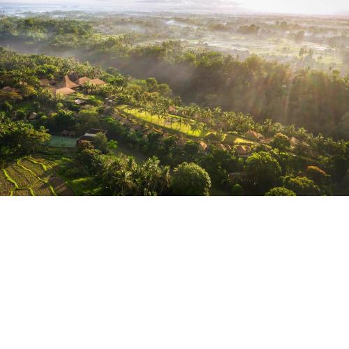 Maya Ubud Resort & Spa