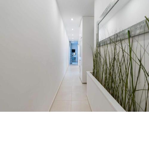 MCD Don Quevedo Apartment