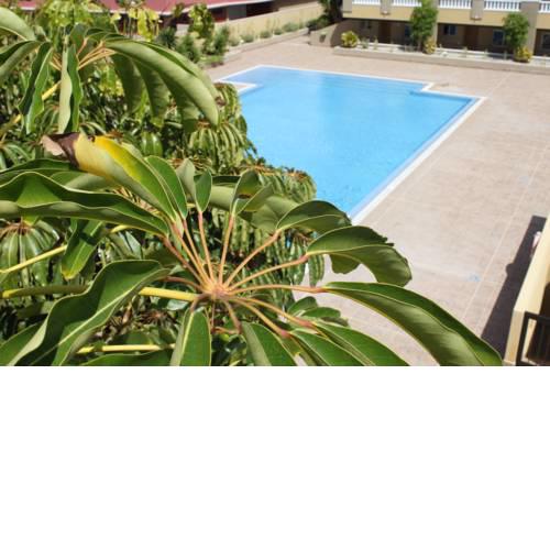 Medano Beach Aparment