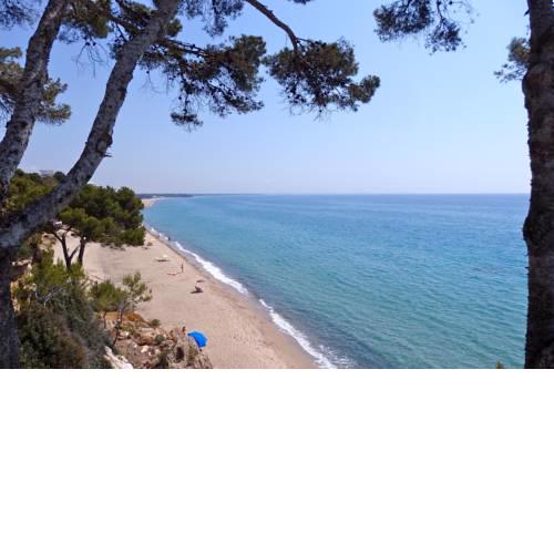 Meddays Normandie 42