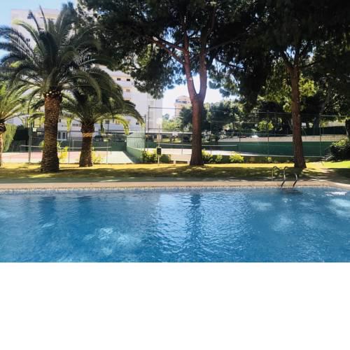 Mediodia Holiday
