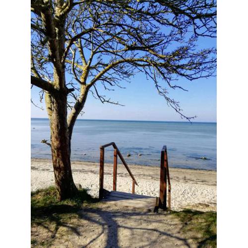 Meer Zeit