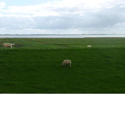 Meerblick