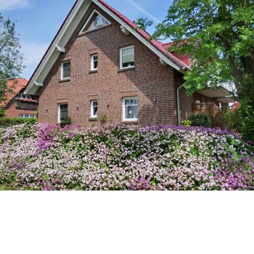 Meeresbrise - a46850