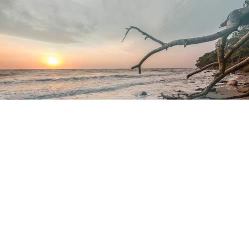 Meeresrauschen - direkt am Meer - [#59216]