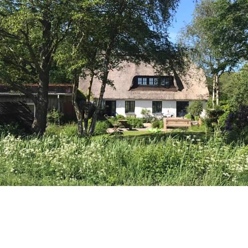 MeinNest31
