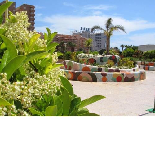 Mejor Zona de Marina D´or